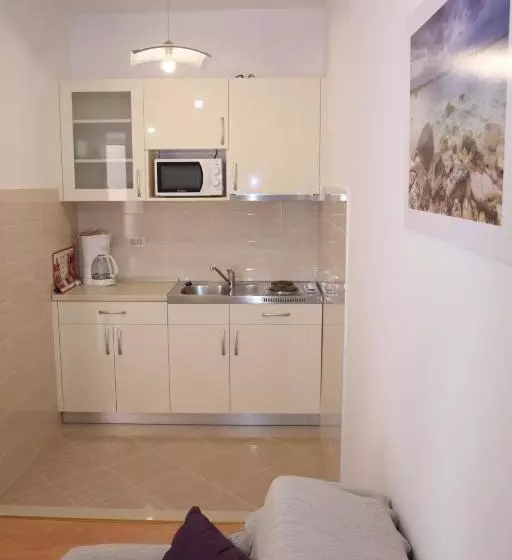 سوئیت با تخت بزرگ, Apartments And Rooms With Parking Space Mlini, Dubrovnik   8835