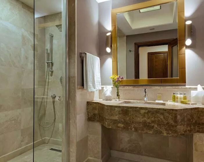 スイート, Doubletree By Hilton Hotel Van