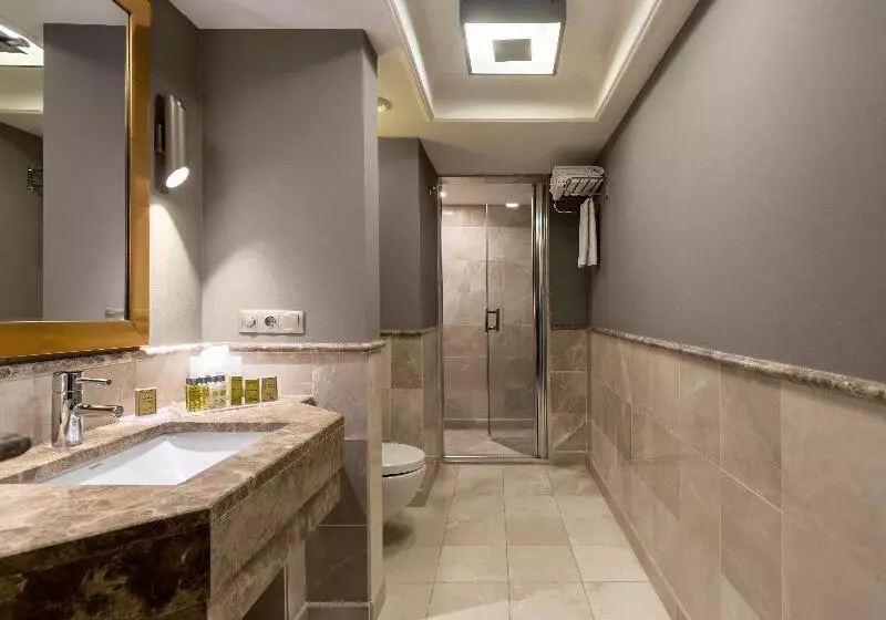 レイクビュースタンダードルーム, Doubletree By Hilton Hotel Van