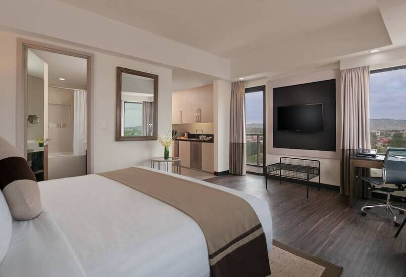 اتاق پرمیوم, Seda Abreeza