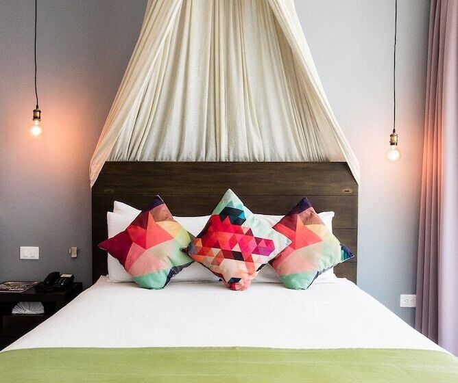 اتاق استاندارد, Soho Playa