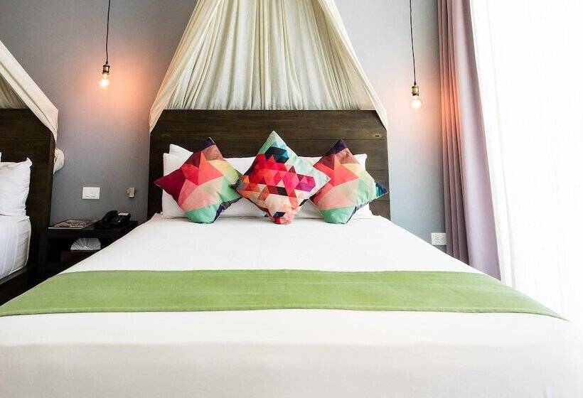 اتاق استاندارد, Soho Playa