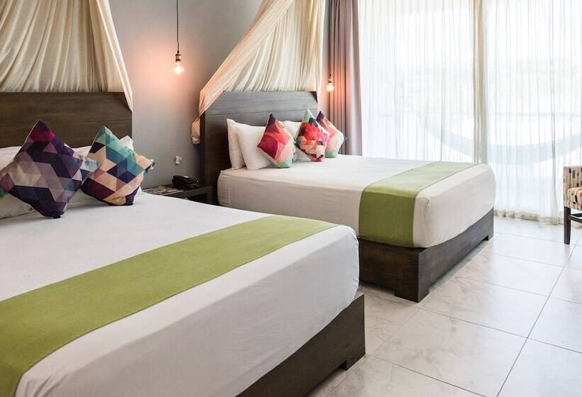 اتاق استاندارد, Soho Playa