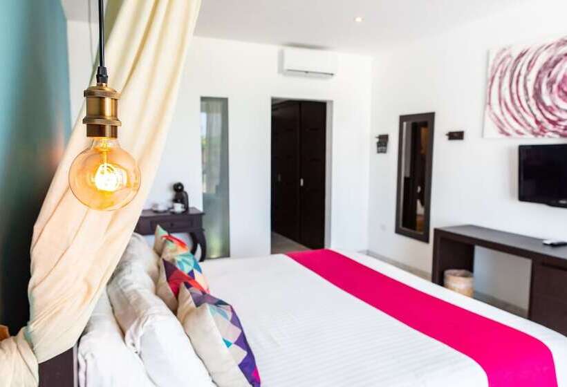 اتاق استاندارد, Soho Playa