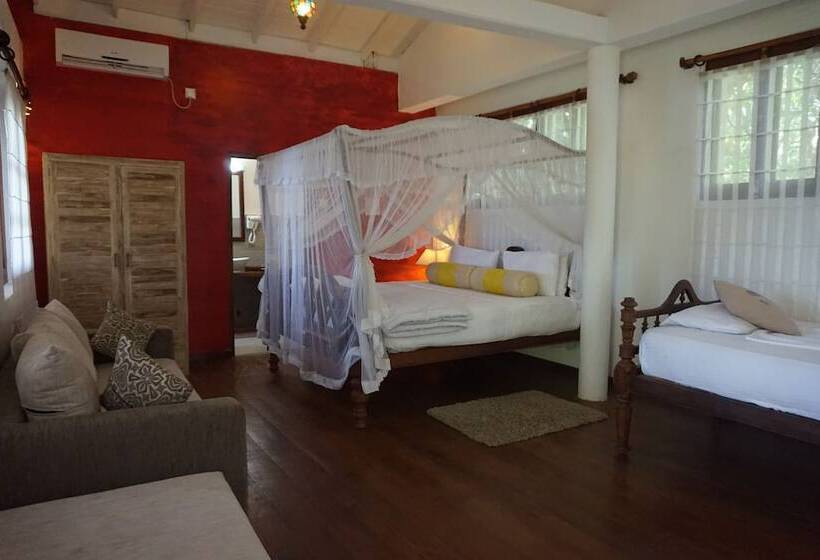 高级大房间, Thambapanni Retreat