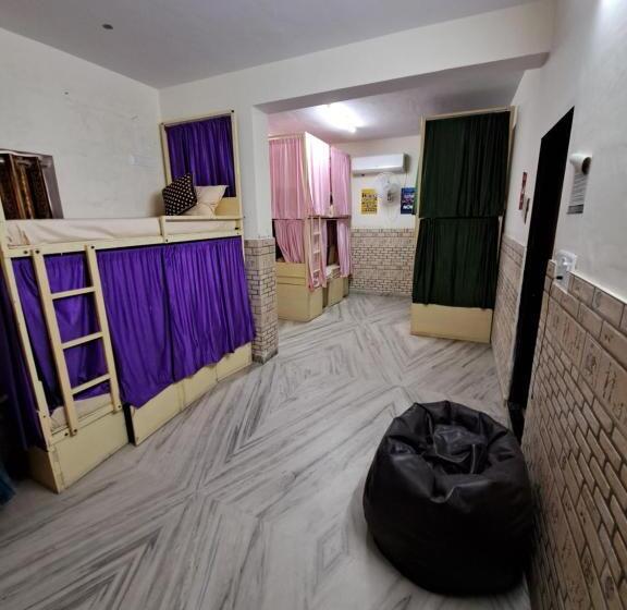 공동 객실, Jaipur View