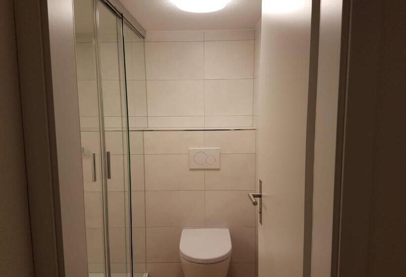 חדר סטנדרט, Gasthaus Hirschen Ag, Oberiberg