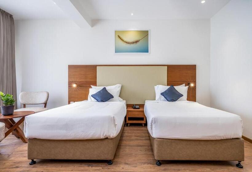 高级大房间, Oshin