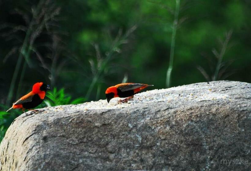 בית, 2 חדרי שינה, Eureka!