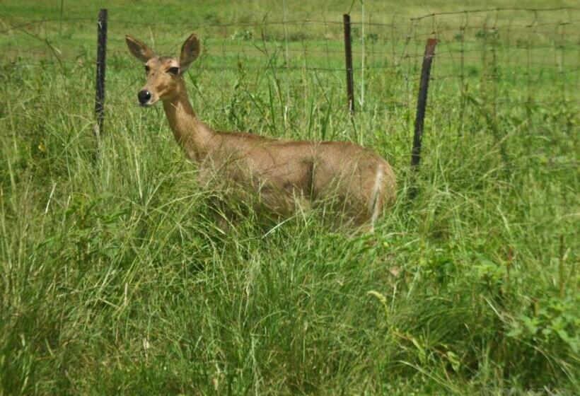 בית, 2 חדרי שינה, Eureka!