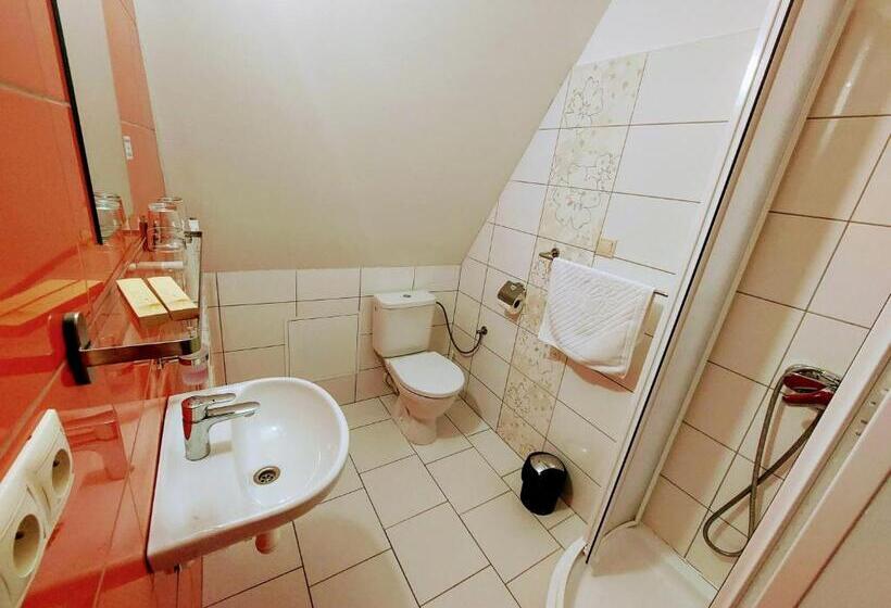 חדר סטנדרט יחיד, Agrohotel Tri Brezy