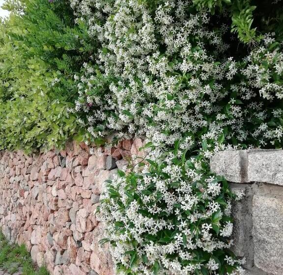 주니어 스위트, La Forma Dell Acqua