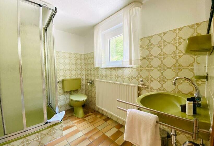 חדר סטנדרט יחיד, Landhotel Edersee