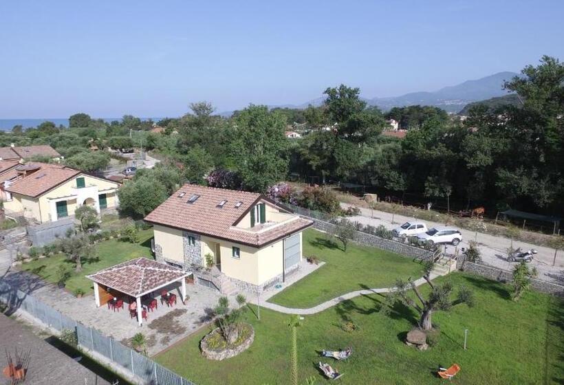 חדר אקונומי לשלושה, Askia Rooms & Breakfast