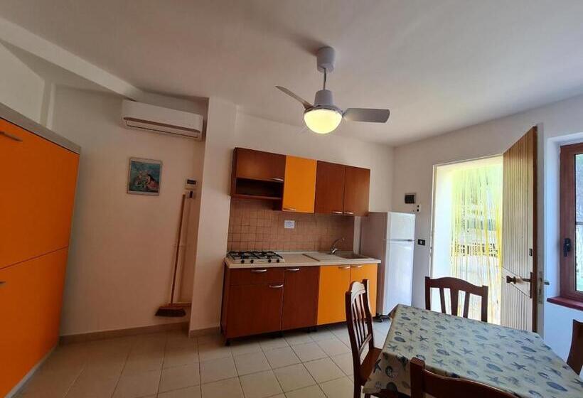 خانه 1 خوابه, Residence Olimpia