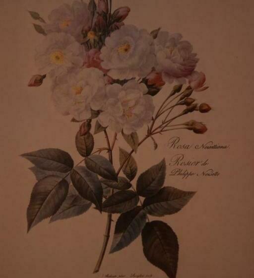 스탠다드 룸, La Casa Nell Oliveto Bed & Breakfast