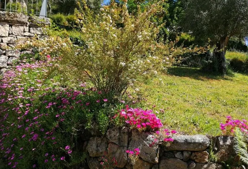 １ベッドルームハウス, Casas De Alvite