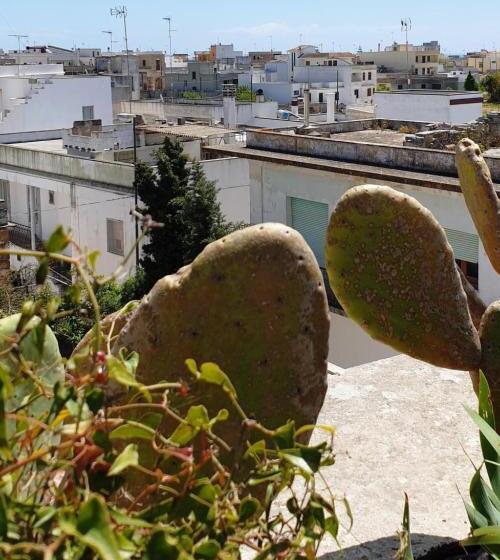 חדר משפחתי, Castle Xviii Near Sea