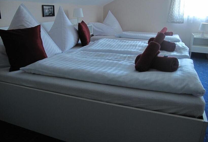 带1个卧室的公寓, Penzion Habr