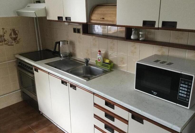 带1个卧室的公寓, Penzion Habr