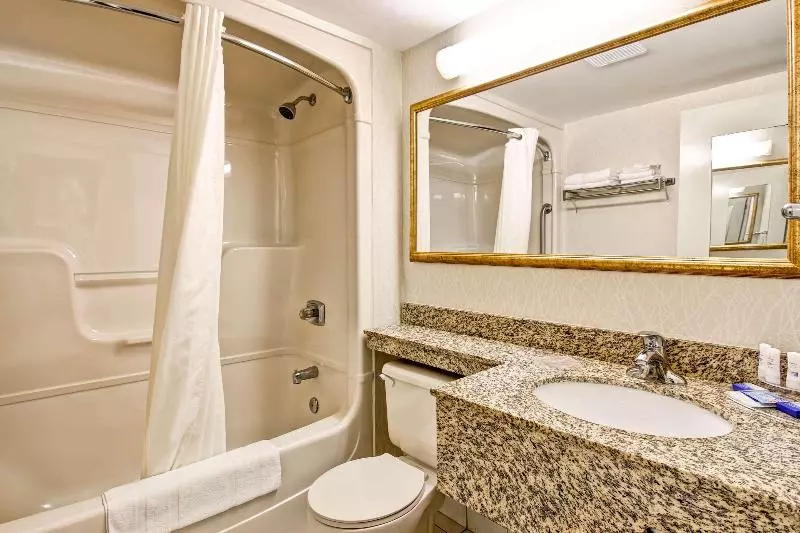 Suite King Bed