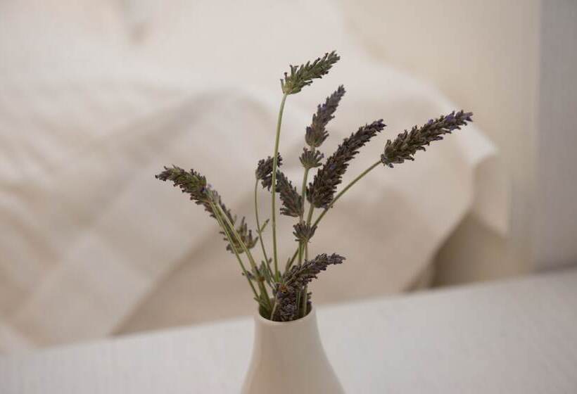 패밀리 스위트, Aphrodite Samos Suites