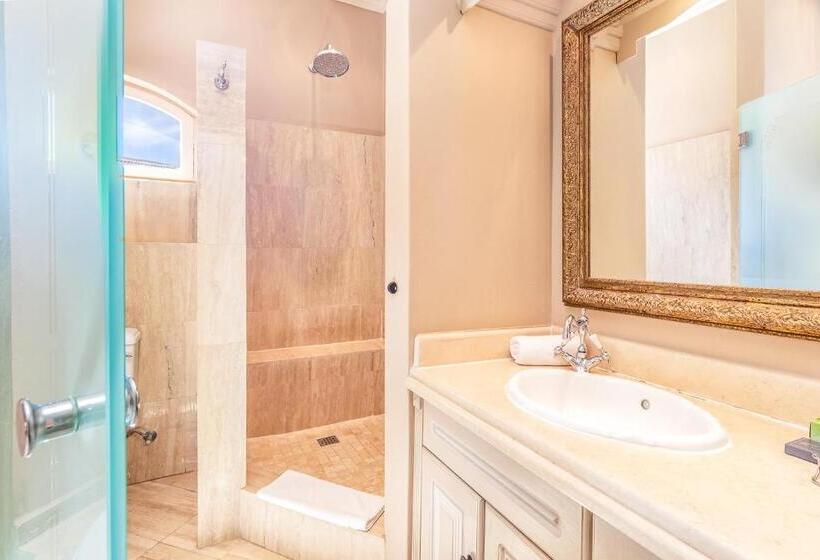 ویلای 1 خوابه, L Ermitage   Franschhoek Chateau & Villas