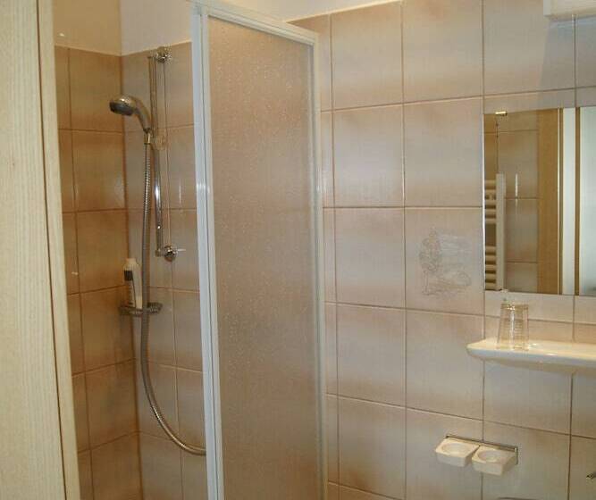 חדר סטנדרט יחיד, Lindenhof