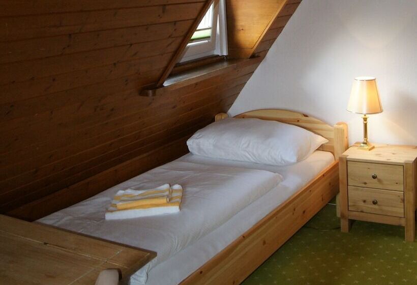 חדר סטנדרט יחיד, Lindenhof