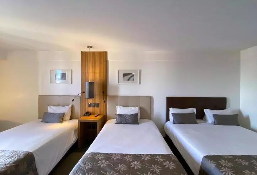 スーペリアの４人部屋, Oft Alfre Hotels   Goiânia