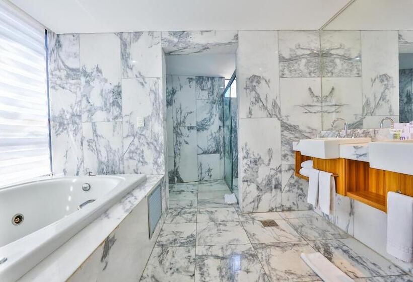 جناح إدارى, Oft Alfre Hotels   Goiânia