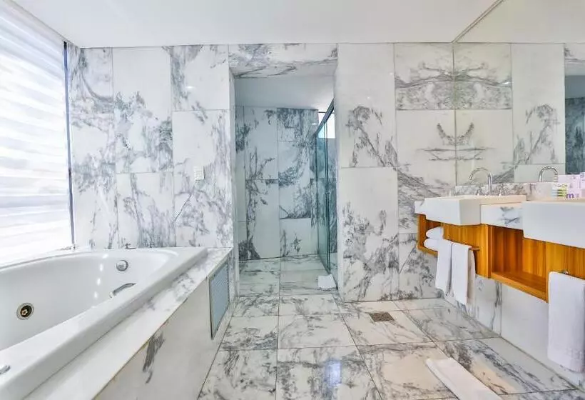 エクゼクティブスイート, Oft Alfre Hotels   Goiânia