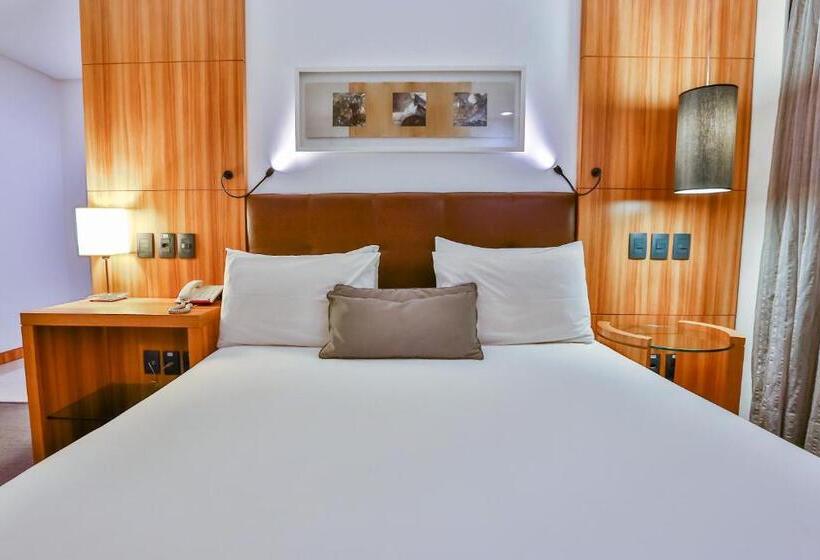 غرفة ديلوكس, Oft Alfre Hotels   Goiânia