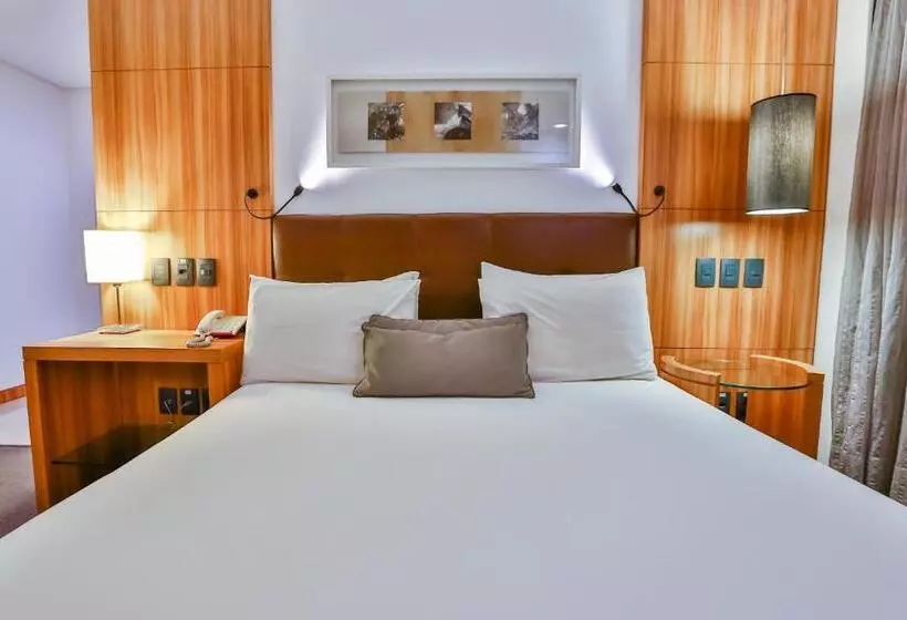 デラックスルーム, Oft Alfre Hotels   Goiânia