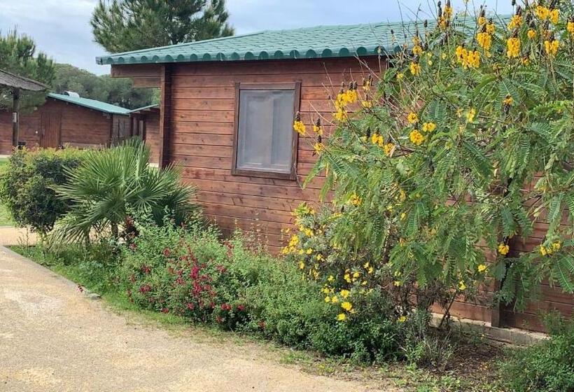 Бунгало Стандарт, Alojamiento Rural Coto De La Isleta