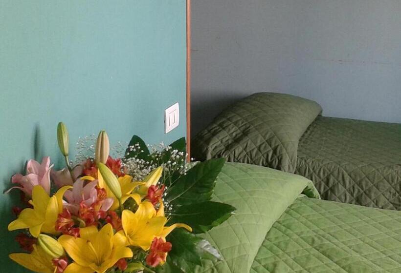 スタンダードトリプルルーム, Alenic