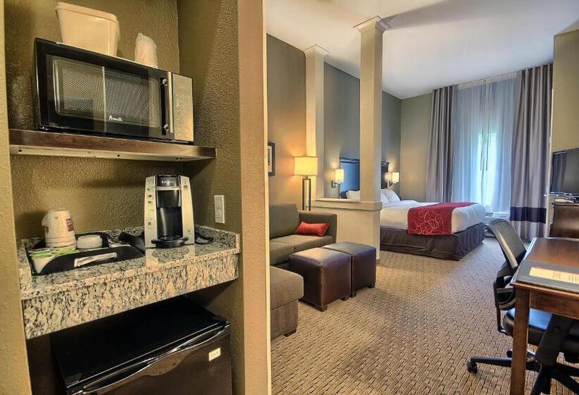 Люкс Кровать Кинг, Comfort Suites Marietta Parkersburg