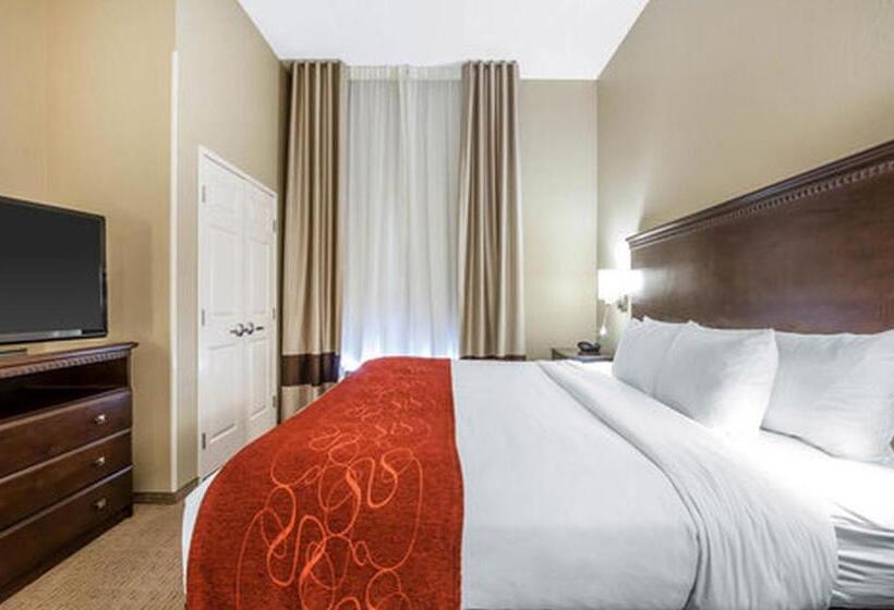 Люкс Executive Кровать Кинг, Comfort Suites Marietta Parkersburg