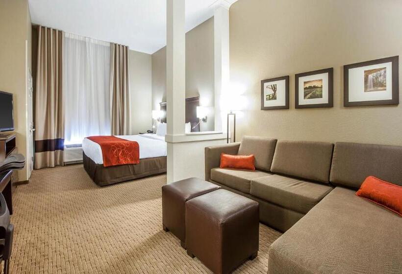 Люкс Адаптированный для Инвалидов, Comfort Suites Marietta Parkersburg