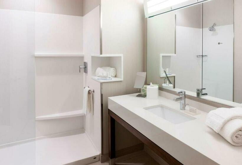 带大床的标准间, Courtyard By Marriott Houston North/shenandoah