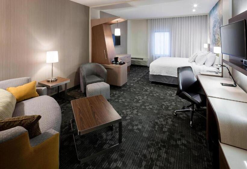 带大床的套房, Courtyard By Marriott Houston North/shenandoah