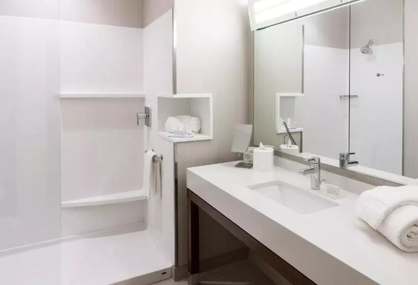 Sviitti King-vuode, Courtyard By Marriott Houston North/shenandoah