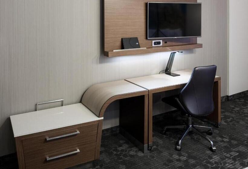 带大床的套房, Courtyard By Marriott Houston North/shenandoah