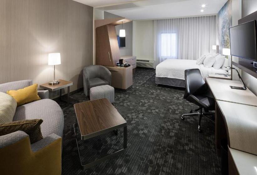 جناح سرير كينج, Courtyard By Marriott Houston North/shenandoah