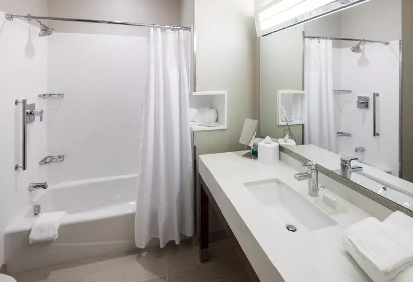 Standard-huone, Courtyard By Marriott Houston North/shenandoah