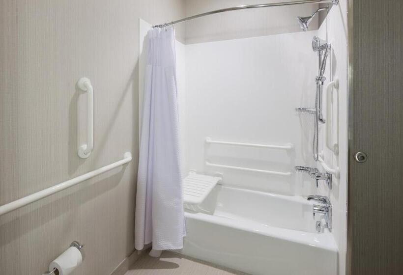 غرفة قياسية سرير كينج لذوى الإحتياجات الخاصة, Courtyard By Marriott Houston North/shenandoah