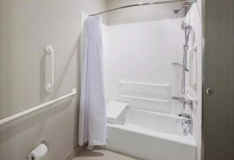 Standard-invahuone King-vuode, Courtyard By Marriott Houston North/shenandoah