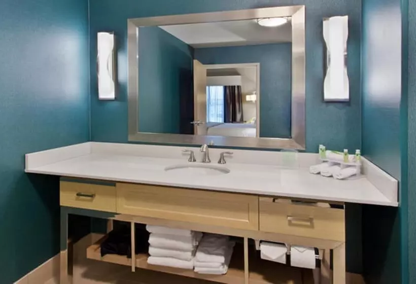 スタンダードルーム, Holiday Inn Express & Suites Warner Robins North West, An Ihg