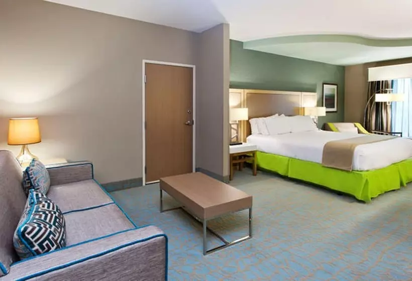 身障者適用スイートルーム, Holiday Inn Express & Suites Warner Robins North West, An Ihg
