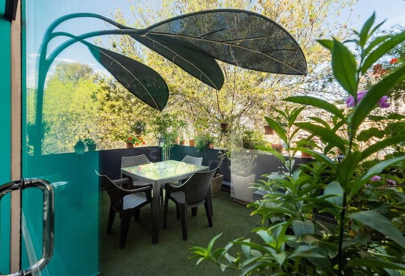 اتاق استاندارد یک نفره, Dreams Hotel Boutique